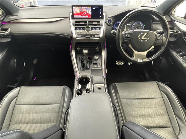 NX300h Fスポーツ