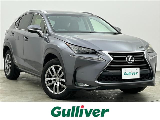 NX300h Iパッケージ 4WD