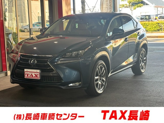 NX300h Iパッケージ