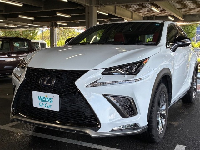 NX300h Fスポーツ