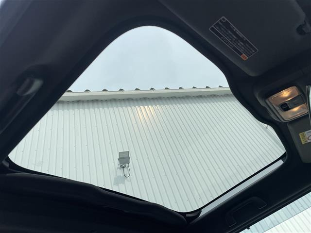 タフトG