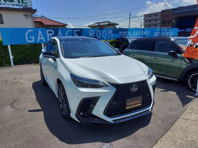 NX350h Fスポーツ