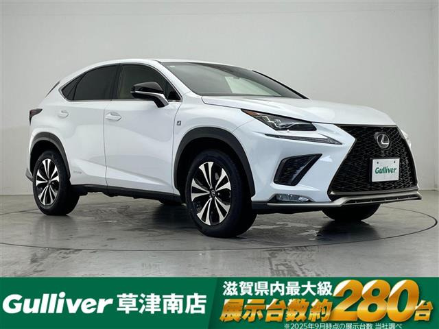 NX300h Fスポーツ