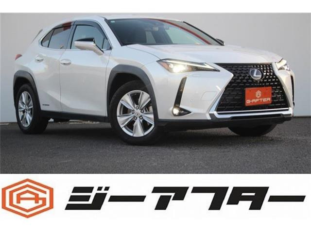 UX250h バージョンC