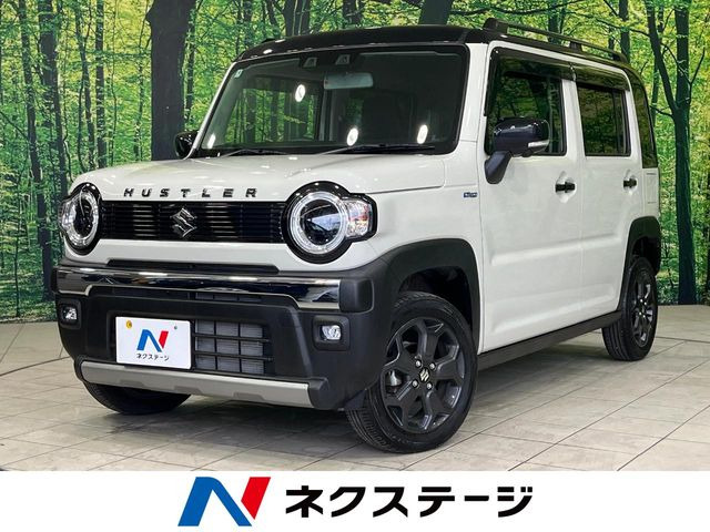 ハスラータフワイルド