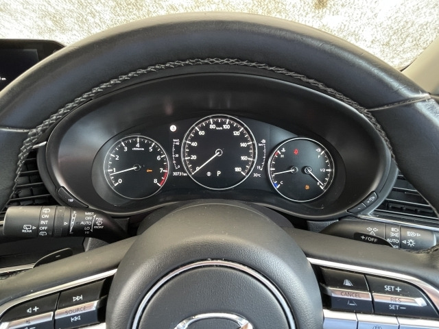 CX-302.0 20S 100周年特別記念車
