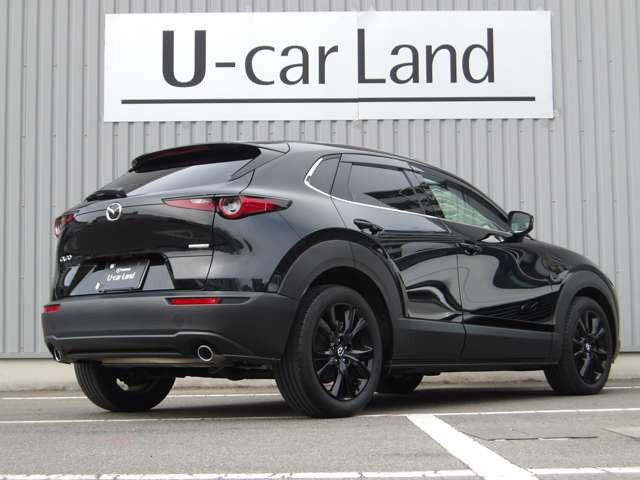 CX-30
