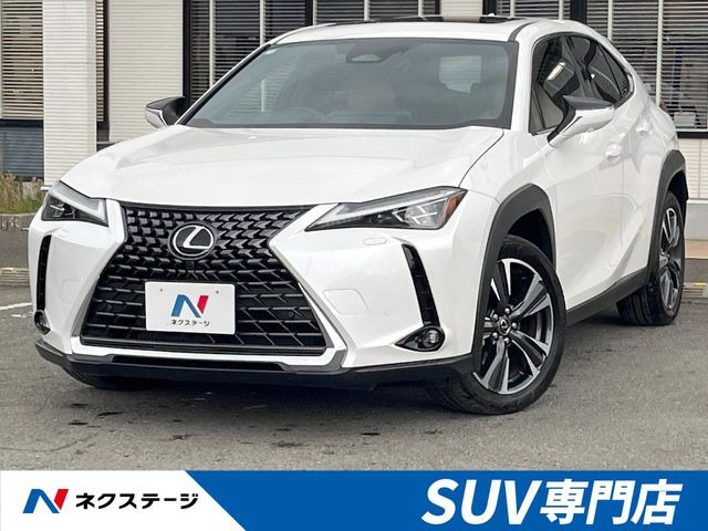 UX300h バージョンL