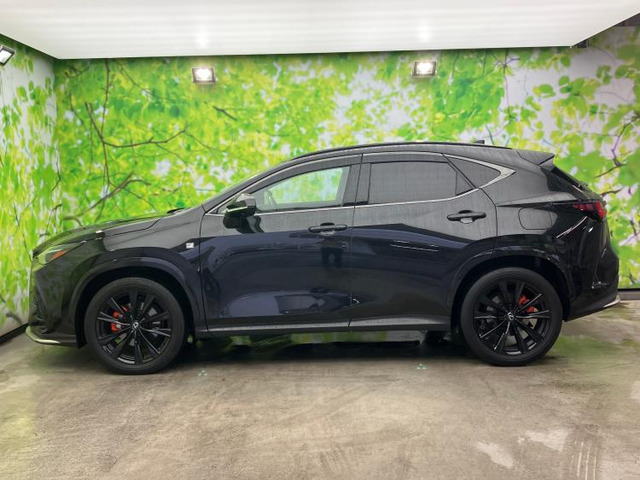 NX350h Fスポーツ