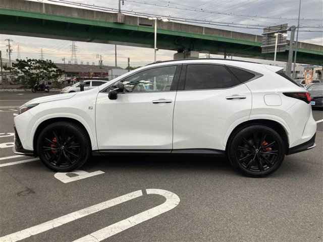 NX350h Fスポーツ