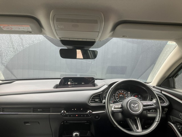 CX-30