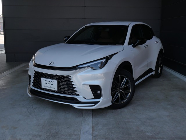 LBXリラックス E-Four 4WD
