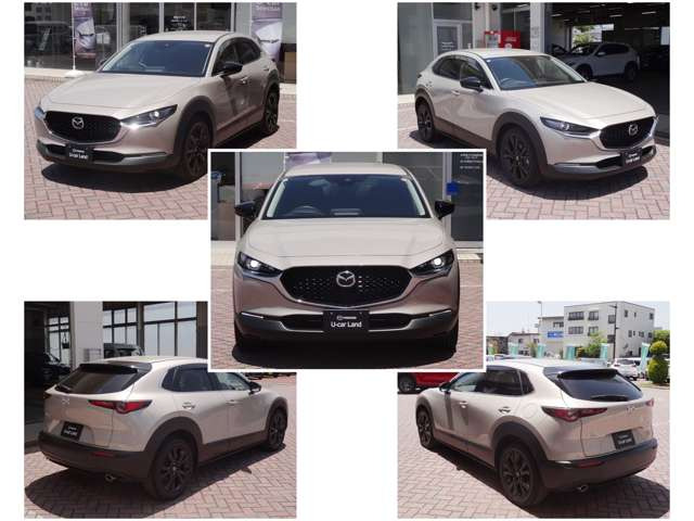 CX-30