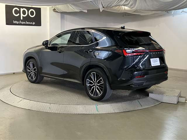 NX