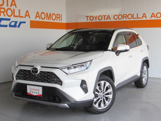 RAV4