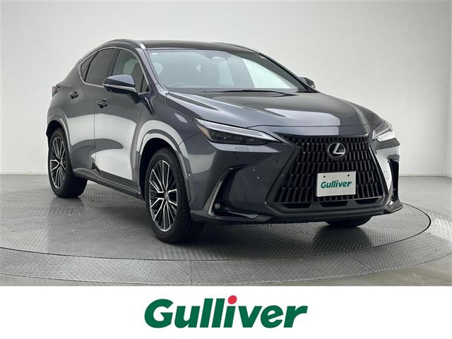 NX350h バージョンL