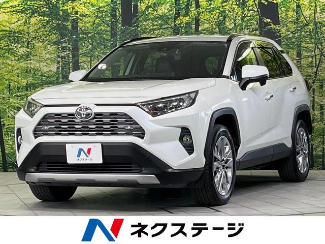 RAV42.0 G Zパッケージ 4WD