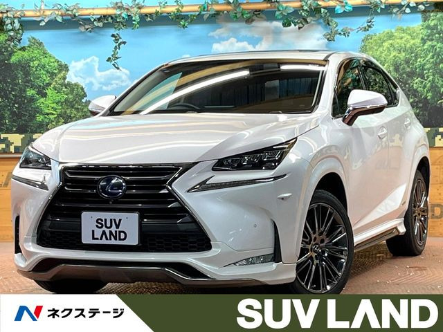 NX300h バージョンL