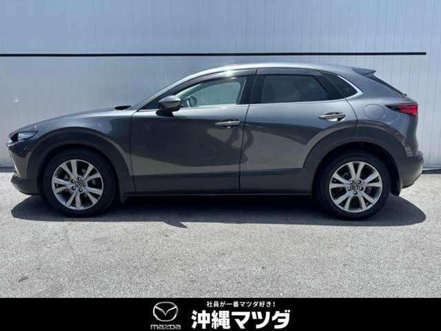 CX-302.0 20S プロアクティブ