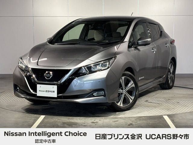 リーフX