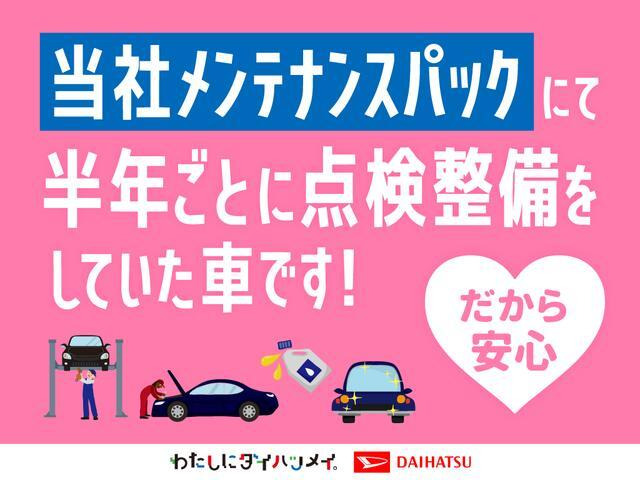 トール1.0 G SAII