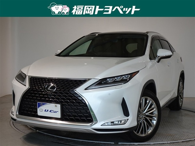 RX300 バージョンL