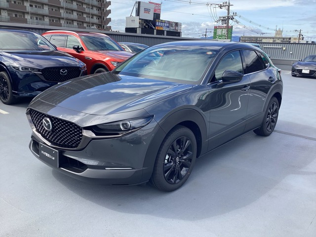 CX-301.8 XD ドライブ エディション