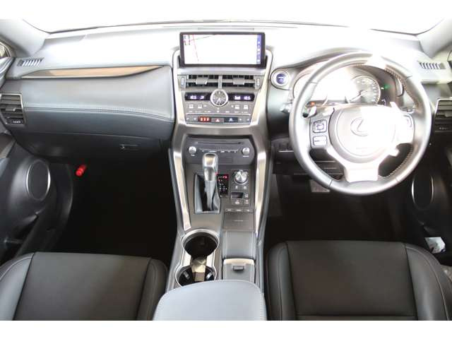 NX300h