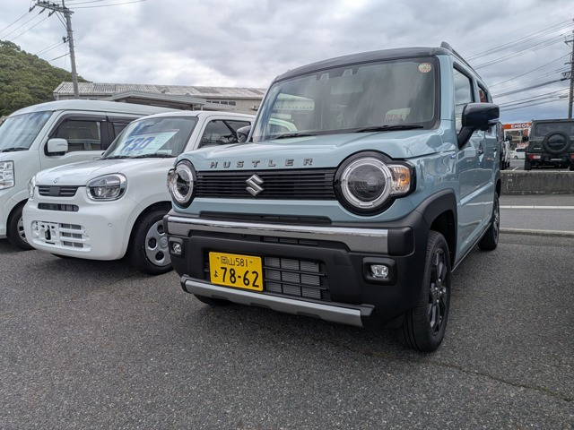 ハスラータフワイルド