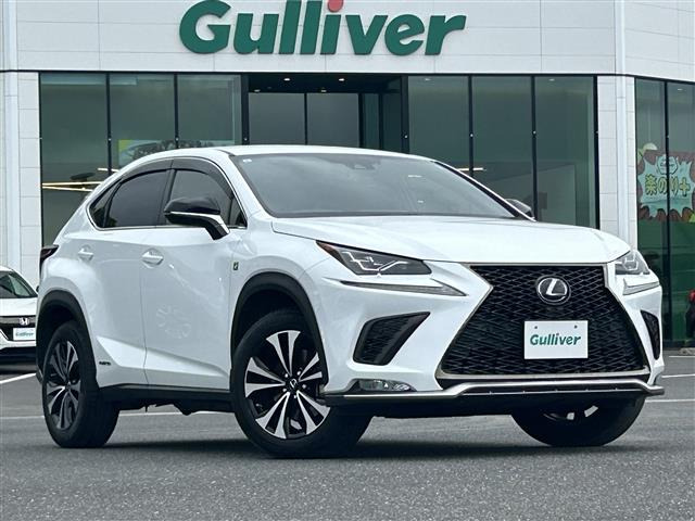 NX300h Fスポーツ