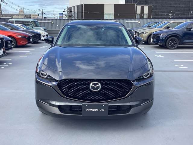 CX-301.8 XD ドライブ エディション