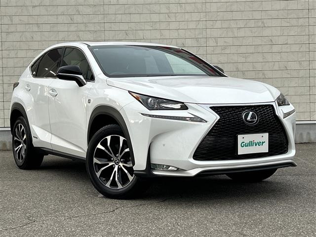 NX300h Fスポーツ