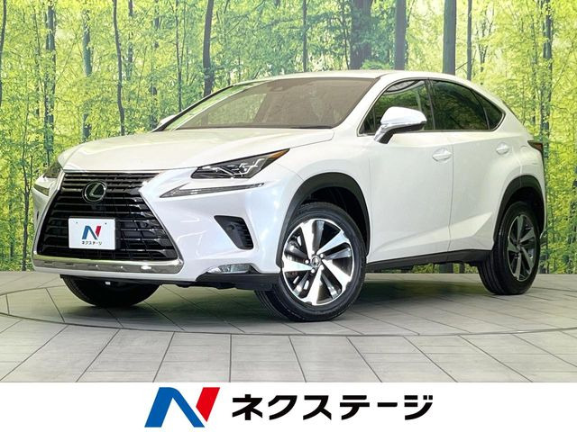 NX200t Iパッケージ