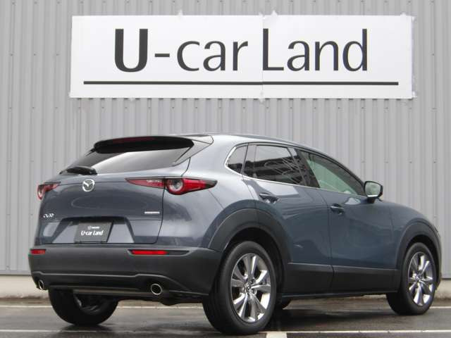 CX-302.0 20S プロアクティブ