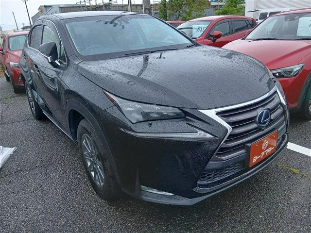 NX300h Iパッケージ 4WD