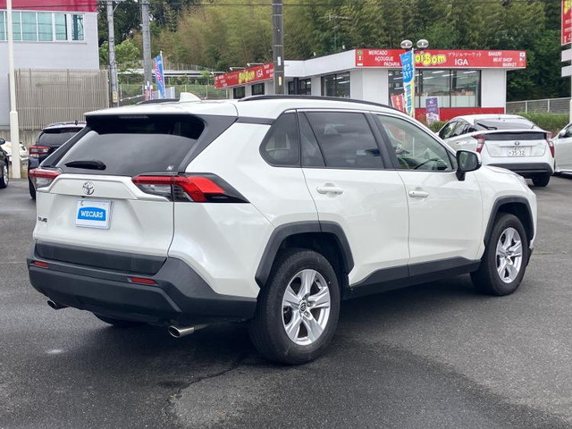 RAV42.0 X