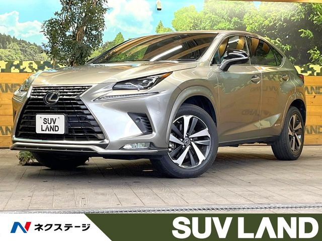 NX300h スパイス&amp;シック