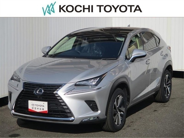 NX300h バージョンL