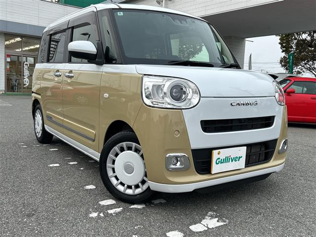 ムーヴキャンバスストライプス G