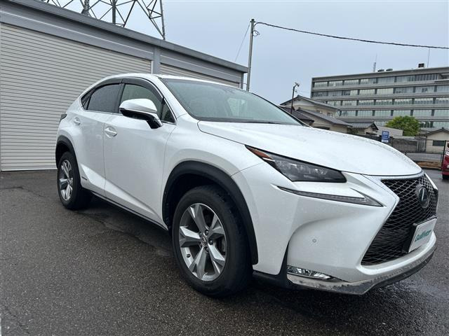 NX300h バージョンL