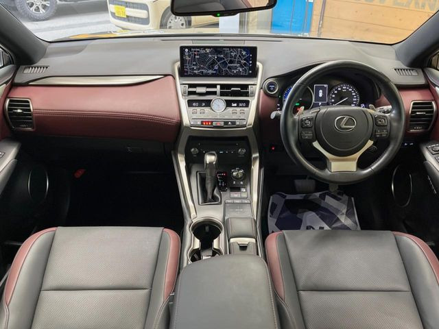 NX300h スパイス&amp;シック