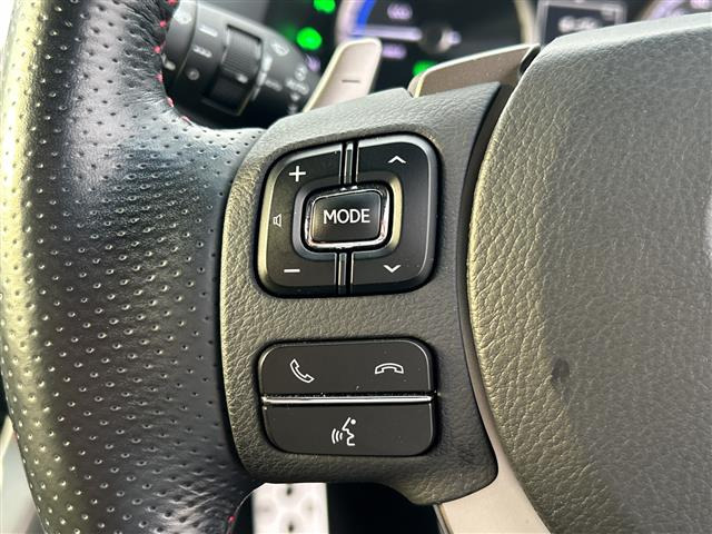 NX300h Fスポーツ