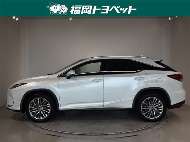 RX300 バージョンL
