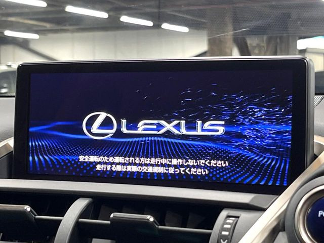 NX300h Iパッケージ
