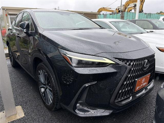 NX450hプラス バージョンL 4WD