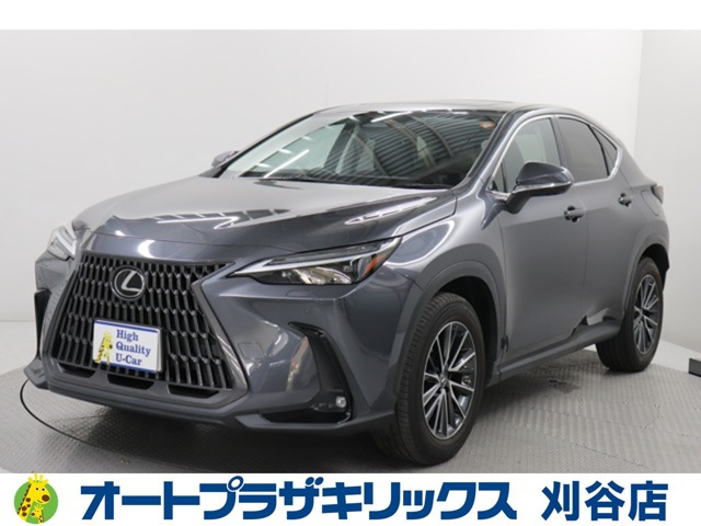 NX250 バージョンL