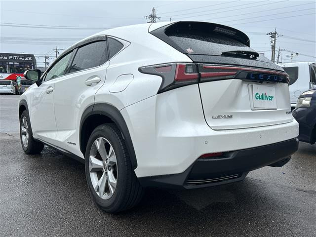 NX300h バージョンL