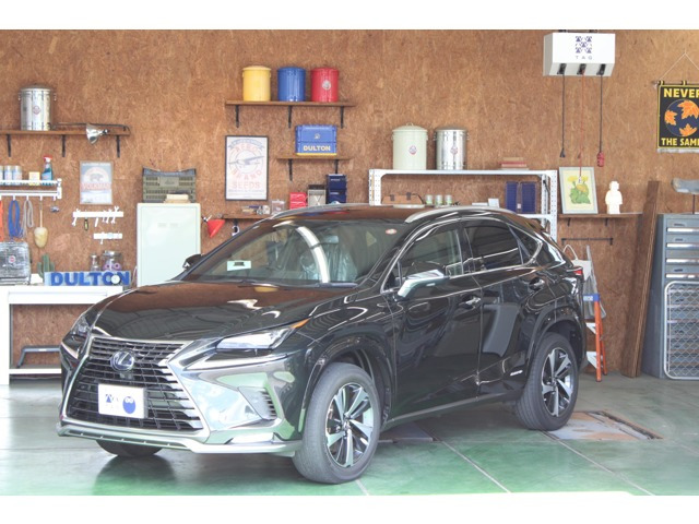 NX300h