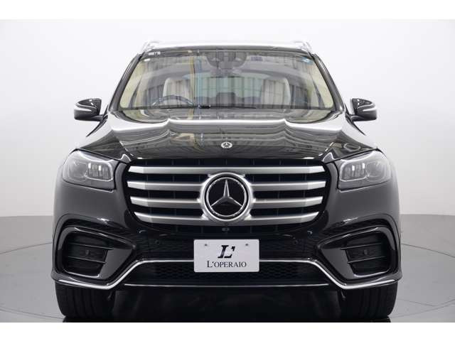 AMG���C���p�b�P�[�W�����ɂ��A��p�G�A���p�[�c�ƃu���b�N�L�h�j�[�O�������̗p���������ȃt�����g�}�X�N�BAMG�炵���X�|�[�e�B���Ə㎿�������˔������\��ł������܂��B