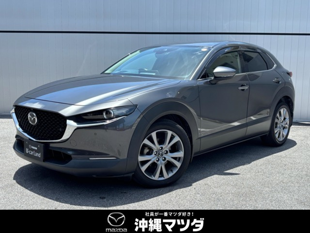 CX-302.0 20S プロアクティブ
